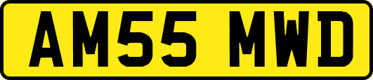 AM55MWD