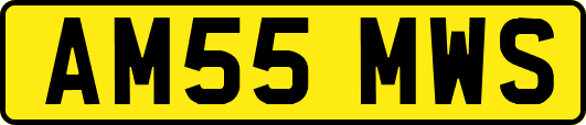 AM55MWS