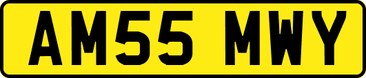 AM55MWY