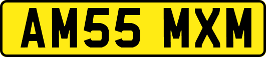 AM55MXM