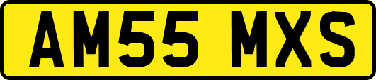 AM55MXS