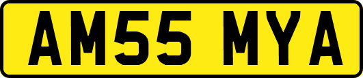 AM55MYA