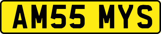 AM55MYS