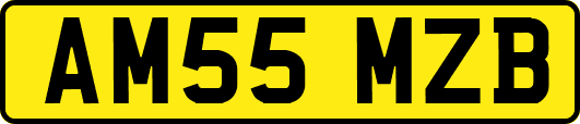 AM55MZB