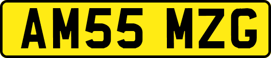 AM55MZG