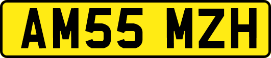 AM55MZH