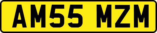 AM55MZM
