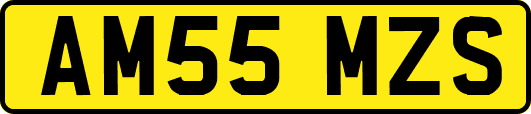 AM55MZS