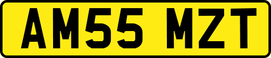 AM55MZT