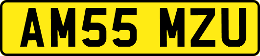 AM55MZU