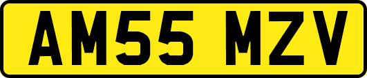 AM55MZV