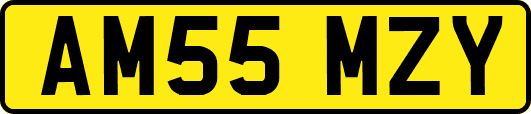 AM55MZY