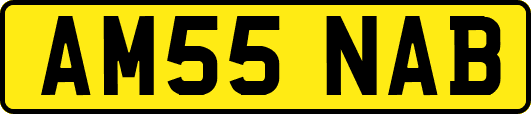 AM55NAB