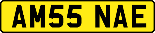 AM55NAE
