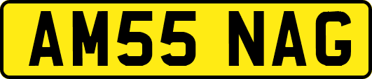 AM55NAG