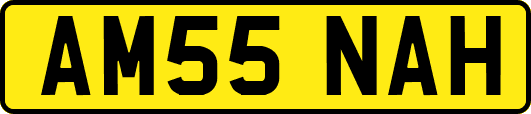 AM55NAH