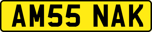 AM55NAK