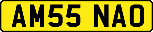 AM55NAO