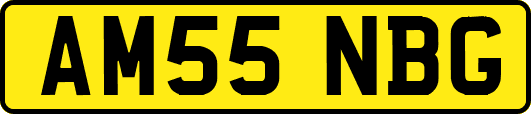 AM55NBG