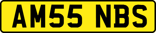 AM55NBS
