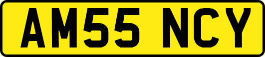 AM55NCY