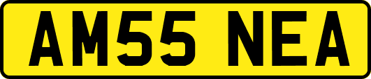 AM55NEA