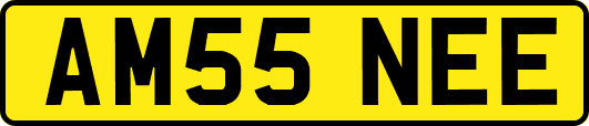 AM55NEE