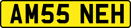 AM55NEH