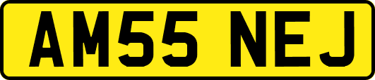 AM55NEJ