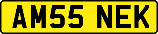 AM55NEK