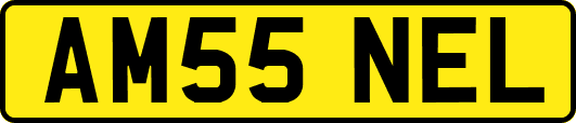 AM55NEL