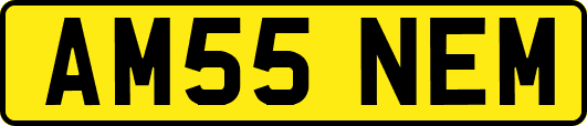 AM55NEM