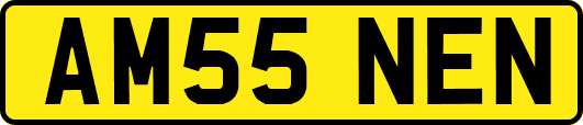 AM55NEN