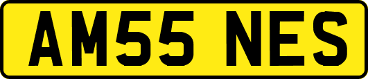 AM55NES