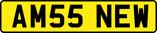 AM55NEW