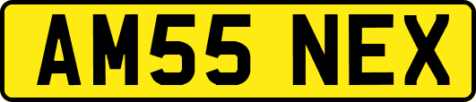 AM55NEX