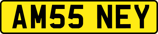AM55NEY