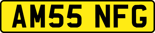 AM55NFG