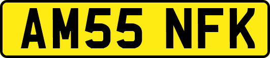 AM55NFK