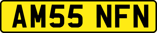 AM55NFN