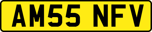 AM55NFV
