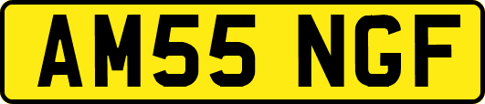 AM55NGF
