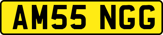 AM55NGG