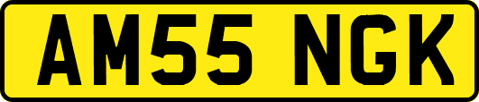 AM55NGK