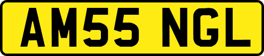 AM55NGL
