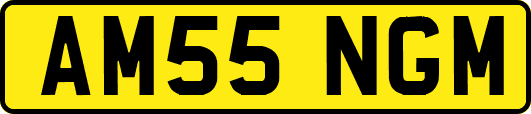 AM55NGM
