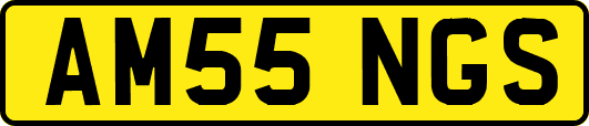 AM55NGS