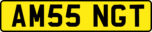 AM55NGT