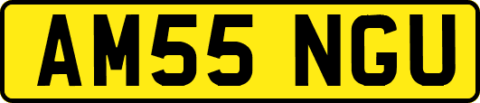 AM55NGU