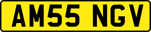 AM55NGV